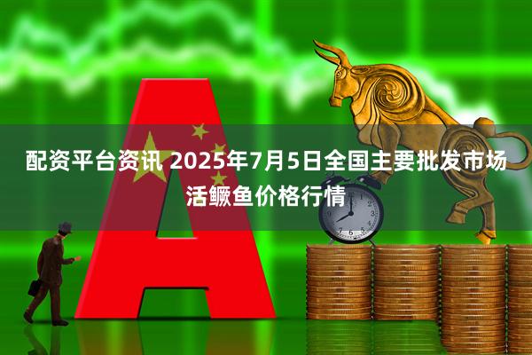 配资平台资讯 2025年7月5日全国主要批发市场活鳜鱼价格行情